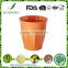 Fashional High quality Degradable bamboo fiber water cup