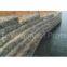 PVC COATED GABION