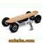 E-Skateboard- Electric Skateboard 800W