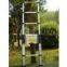 Telescopic Ladder
