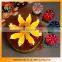 two layer magic funny singing flowering musical birthday candle