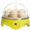 Low Price Small Scale Good Quality Egg Incubator/Hatchery For Family Use