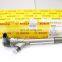 BJAP Genuine injectors 0445110317 0 445 110 317