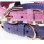 Best Selling New Style Microfiber Flower Pet Collar Dog Collar