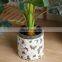 Wholesale garden clay plant planters butterfly relief design white ceramic cheap flower pots for home decor