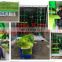 Fodder Sprouting Machine /Hydroponic Grow System/hydroponic sprouting machine