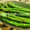 Asparagus officinalis frozen asparagus IQF factory hot selling fitness equipment with fresh quality