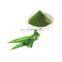 Premium quality Panda leaf Powder/ Panda leaf Powder Convenient from Vietnam
