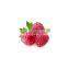 Factory supply raspberry extract powder raspberry extract raspberry powder