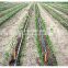 Watering Agricultural Black Inlay Drip Irrigation Belt