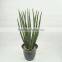 Home decor items artificial plants bonsai artificial succulent bonsai