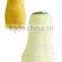 High capacity Wax gourd peeling machine / White gourd peeler / Benincasa hispida peeling machine
