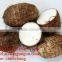 FROZEN TARO BEST PRICE - HIGH QUALITY FROM VIETNAM