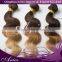 6A Ombre 3 tone Brazilian body wave human hair extensions 100g bundle,Beauty Colorful Brazilian virgin hair ombre weave