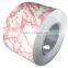 Decorative Furnishing T/T payment Beautiful Colored Pattern PPGI Customized Length Buildings Constructions Steel Coils/ plates