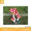 New Prduct Garden Decoration Resin Mushroom