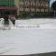 2016 commercial single layer white 3D giant air inflatable dome tent for sale
