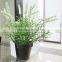 Cheap Mini Artificial Plastic Grass Plant in Pot for Sell