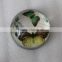 Elegant Dome Glass butterfly patterns Paperweight With insect Picture