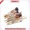 2016 Fashion Private label go pro makeup brushes 12 pcs set                        
                                                Quality Choice