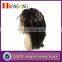 Indian Human Hair Glueless Silk Top Front Lace Wig Made In China