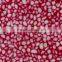 Cobble Sandwich Polymer Transparent Resin Panels for Flooring