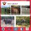 Qingdao Steel Portable Livestock/ horse stalls /cattle yard