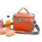 Waterproof Insulated Design Portable Carry Picnic Lunch Bag