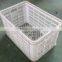 48L Fresh PE/PP Transfer Container Box,Plastic Container,Plastic Box