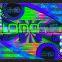 Holographic Feature and Accept Custom Order hologram sticker printing