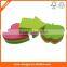 Custom apple shaped sticky notes