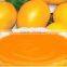 Fresh Alphonso Mango Pulp
