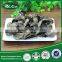 Black fungus wood ear mushrooms