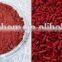 GMP Kosher Natural Red Yeast Rice Powder Monacolin-K