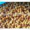 Best selling fresh frozen shiitake mushroom