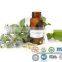 pure 100%Borage Oil supply
