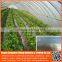 Hot Sell 200 micron agricultural uv protection blue greenhouse pe plastic film , polyethylene pe plastic protective film roll