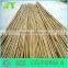 WY-212 Flexiable coated dry raw garden tonkin bamboo canes for sale