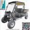 2015 2WD EEC/LSV electric golf car in different design
