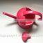 2L Small household watering kettle