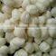 Jinan manufactory top sell corn starch feed granule machine