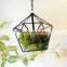 Hanging and Geometric Glass Terrarium