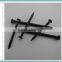 Top hardened black steel concrete nails sizes/linyi concrete steel nails