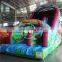 Hot Sale Inflatable Used Party Jumpers for Sale