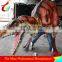 Adult dinosaur halloween realistic dinosaur costume