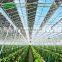 Agricultural Greenhouse& Multispan Tunnel Greenhouse for strawberry grape raspberry