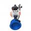 Soft Seal Epoxy Double Flange With Pin Butterfly Valve