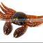 Hot sale Mixed Color Plastic gulp soft bait fishing