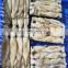 Whole sale BQF squid raw material for fishing bait