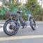 1000W big power Electric Folding Bike Electric Bicycles